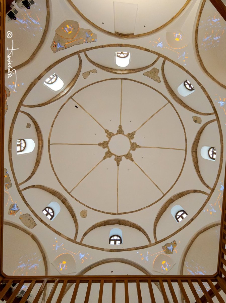 IMG_20260201_120813_1 copy_WM.jpg