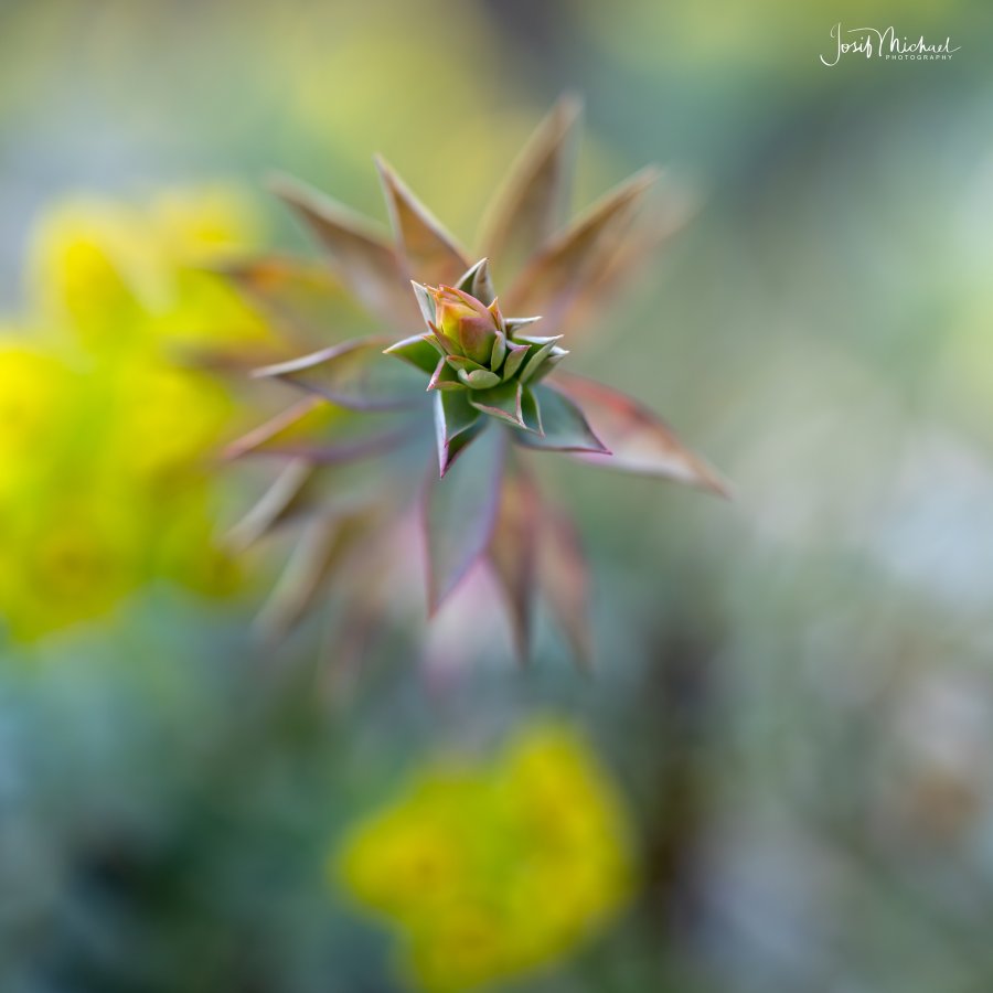 ARV01245-Edit web.jpg