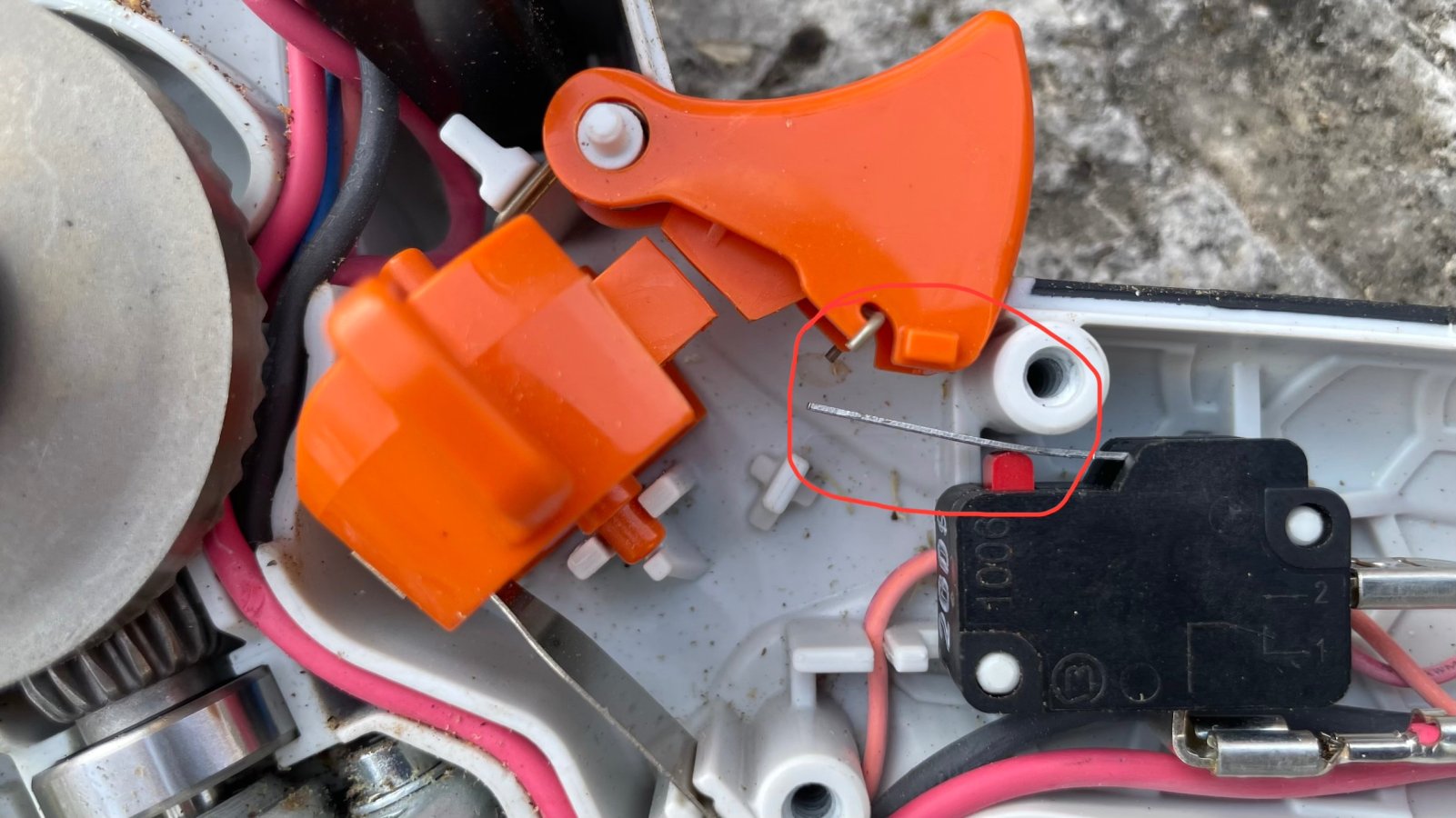 IMG_3699.jpeg IMG_3699.jpeg