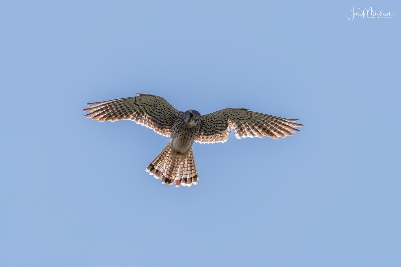 ARV01418-Edit web.jpg