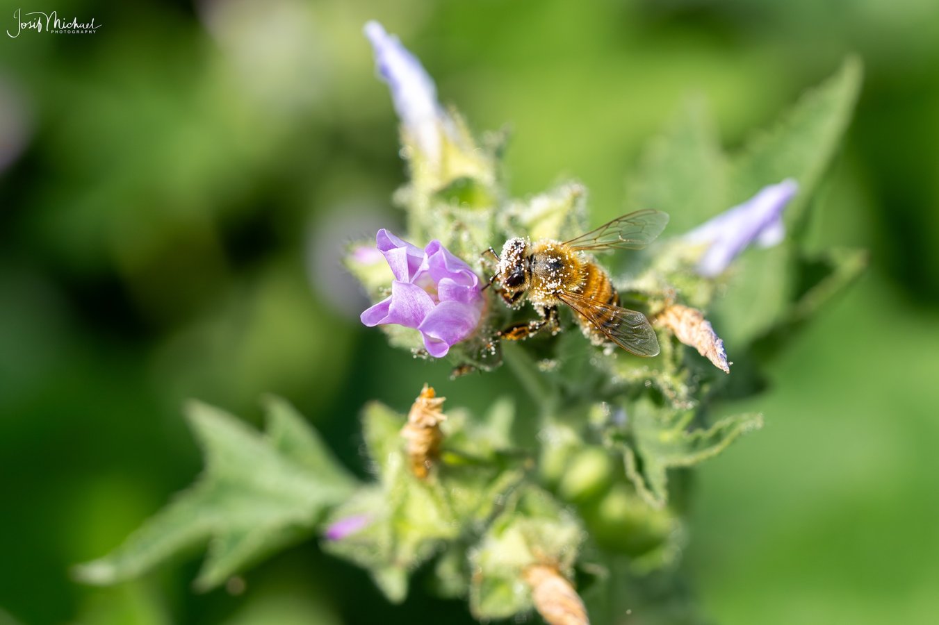 ARV01687-Edit web.jpg