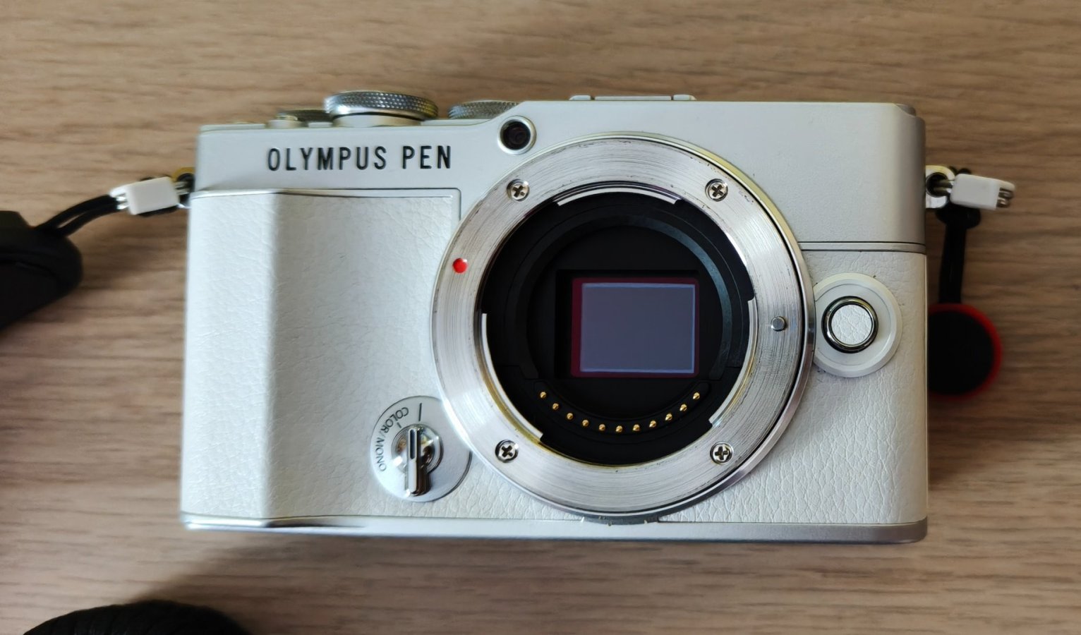 IMG_4338.jpeg IMG_4338.jpeg