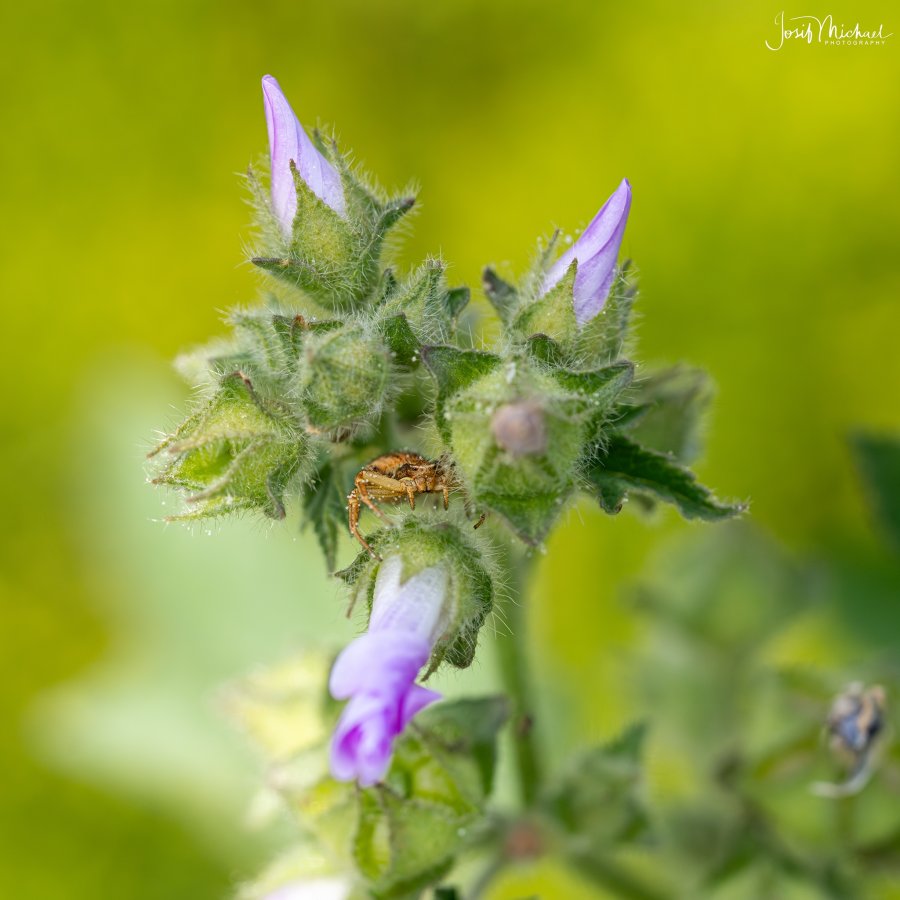 ARV01647-Edit web.jpg