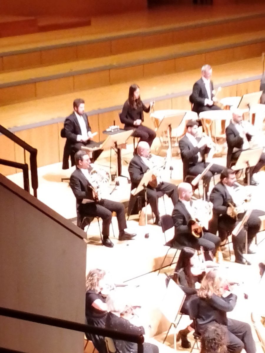 IMG_20260313_222947.jpg IMG_20260313_222947.jpg