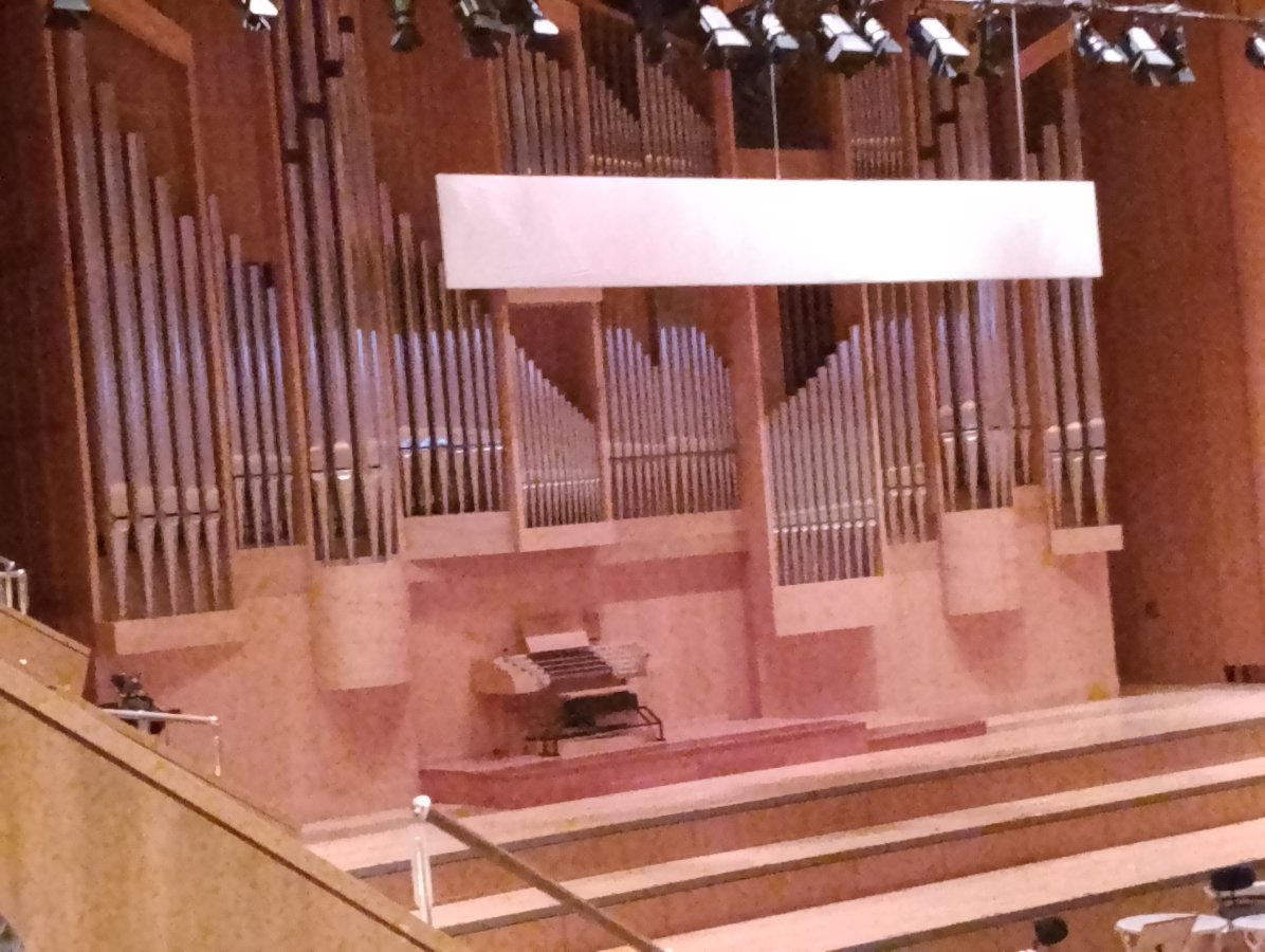 IMG_20260313_202206.jpg IMG_20260313_202206.jpg