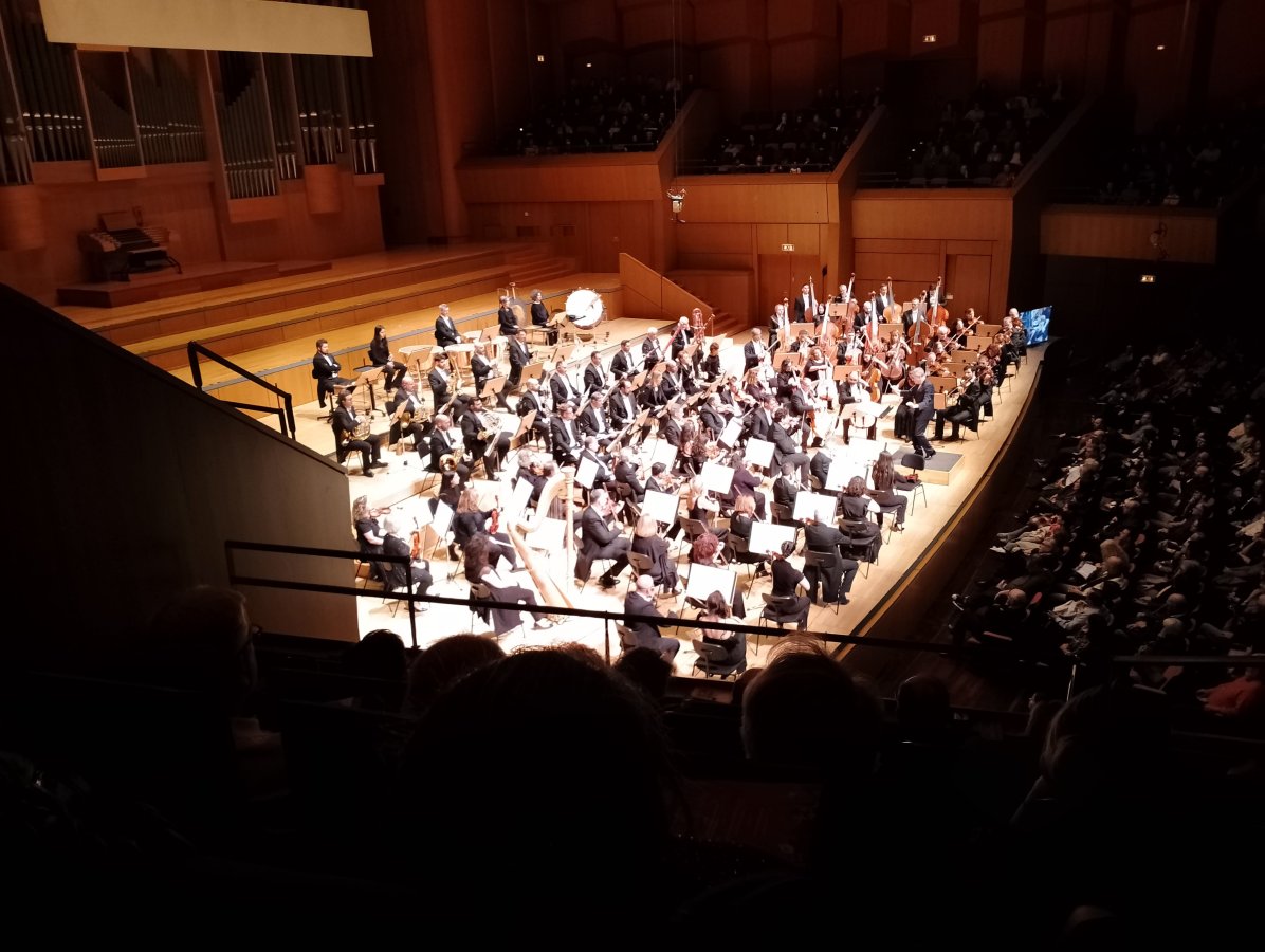 IMG_20260313_214823.jpg IMG_20260313_214823.jpg