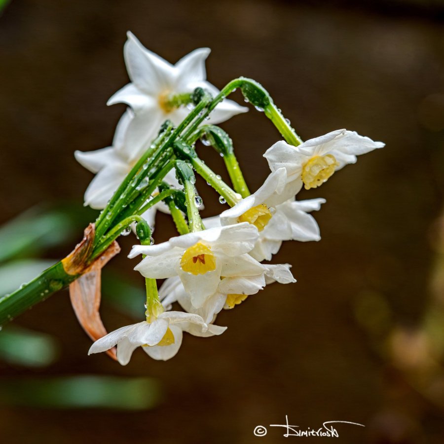 _1220001-HDR copy_RES_WM.jpg