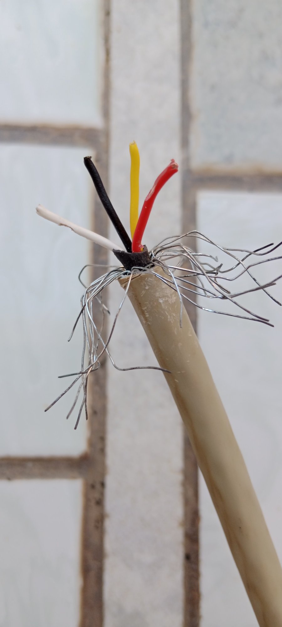 IMG_20260301_102624.jpg IMG_20260301_102624.jpg