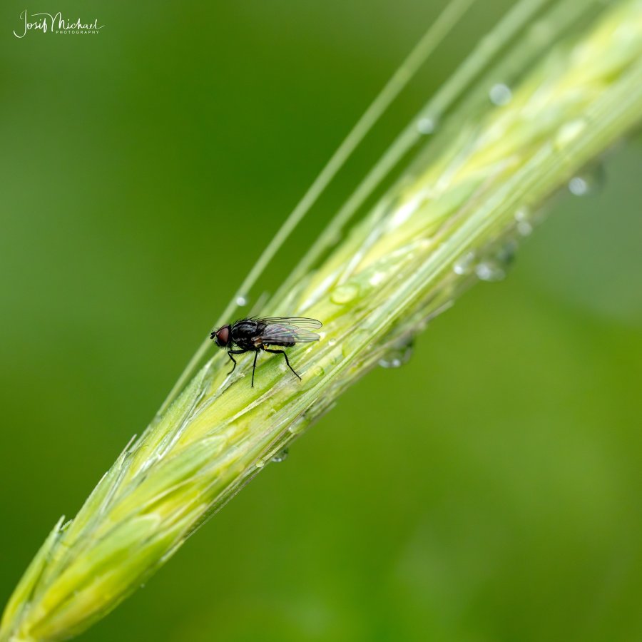 ARV01730-Edit web.jpg