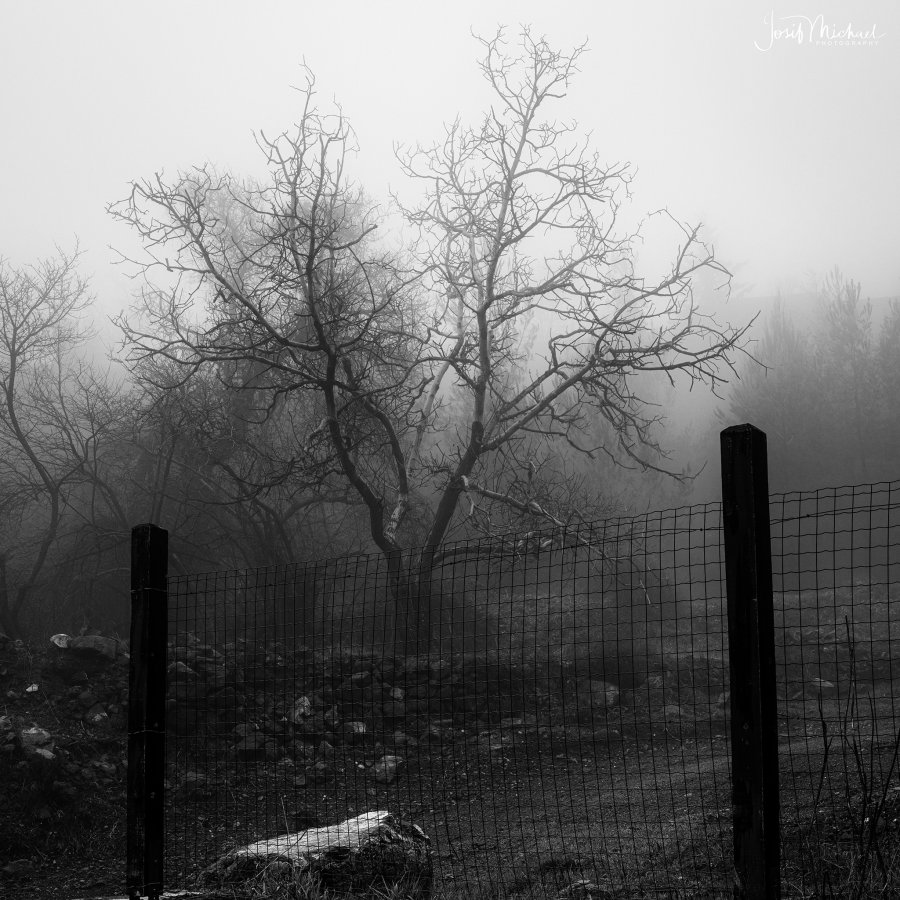 ARV01872-Edit square web.jpg