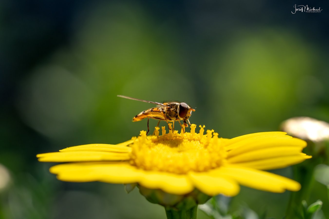 ARV01965-Edit web.jpg