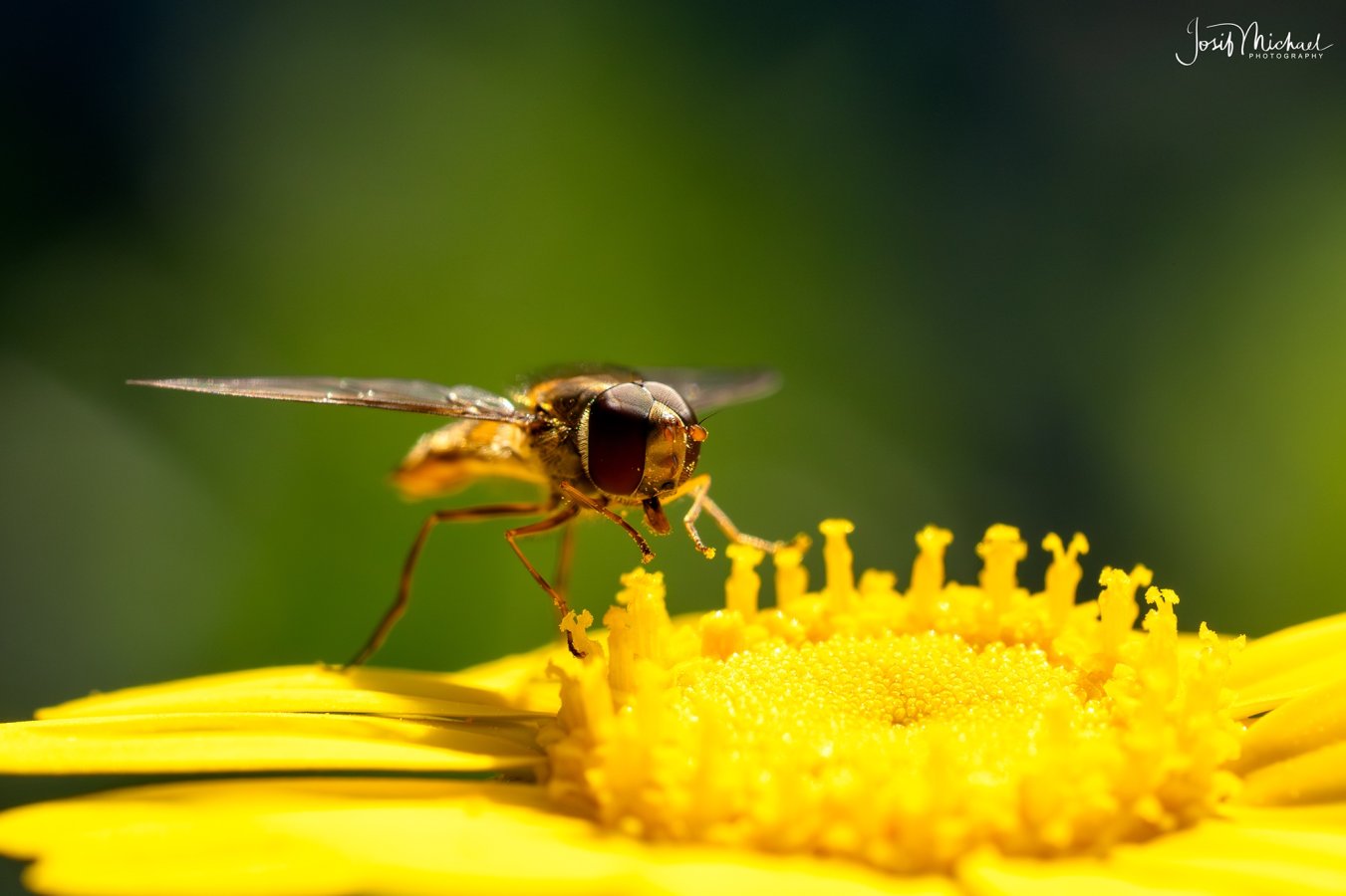 ARV01953-Edit web.jpg