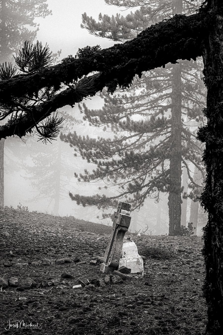 ARV01808-Edit web.jpg