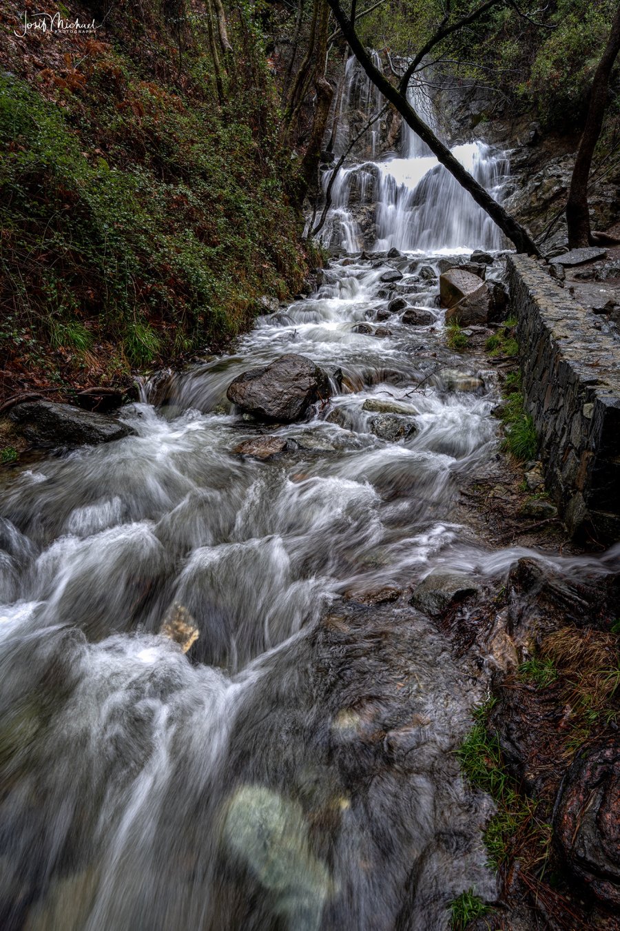 ARV02378-Edit web.jpg