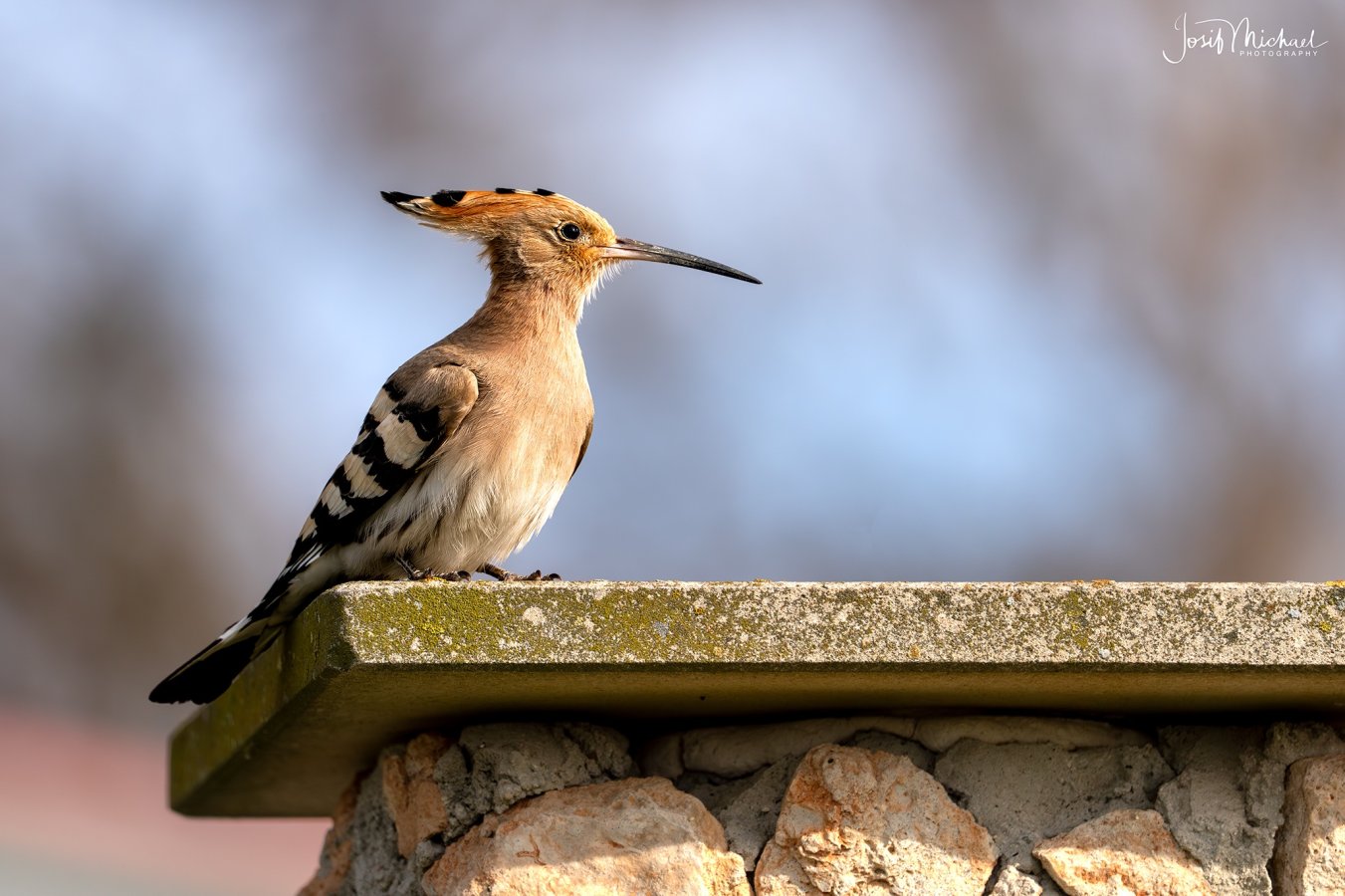 ARV03160-Edit web.jpg