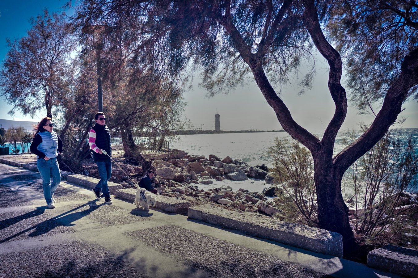 Couple with Dog Walking near to Alimos Shore.jpg