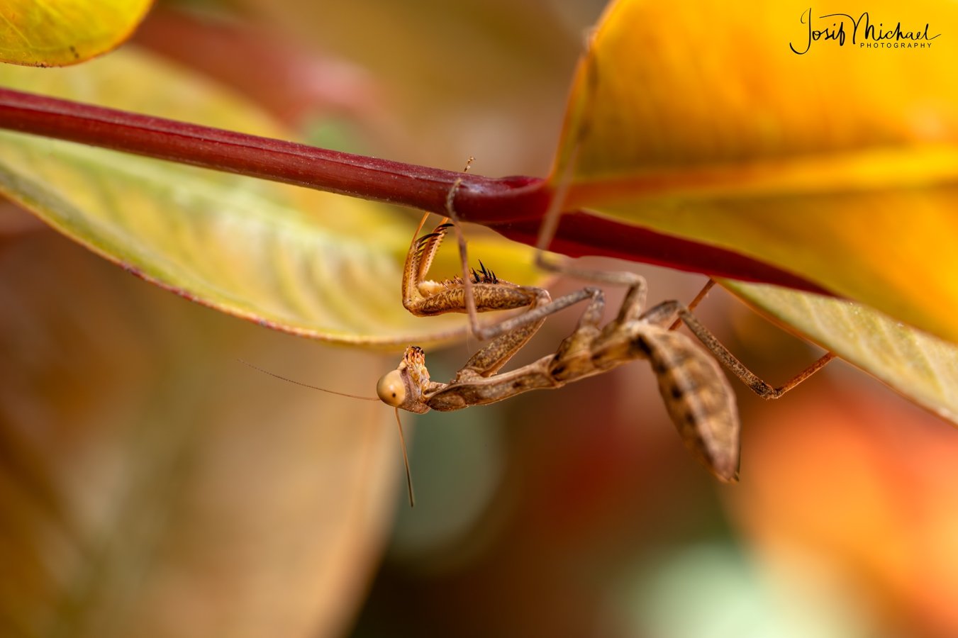 ARV03760-Edit web.jpg