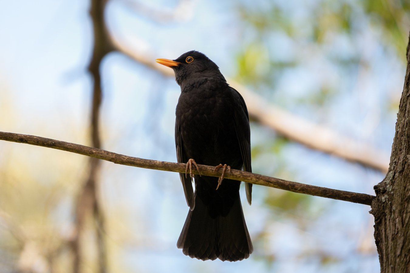 DSC_6351-2.jpg DSC_6351-2.jpg