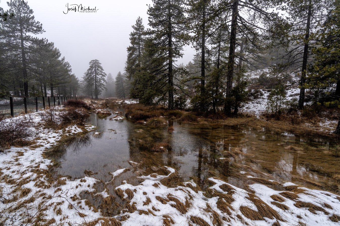 ARV02111-Edit web.jpg