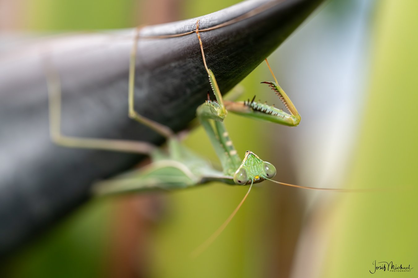 ARV04409-Edit web.jpg