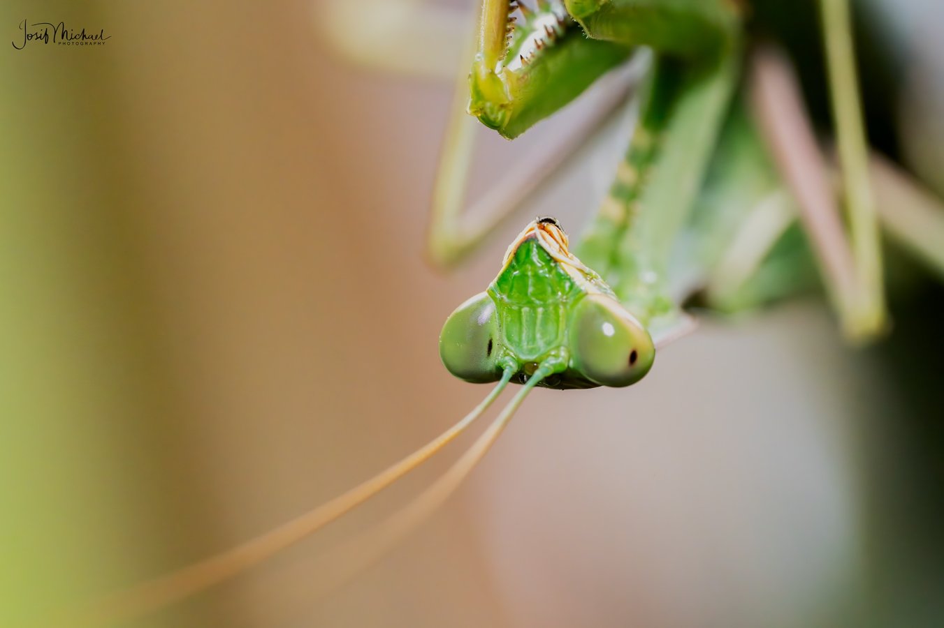 ARV04352-Edit web.jpg