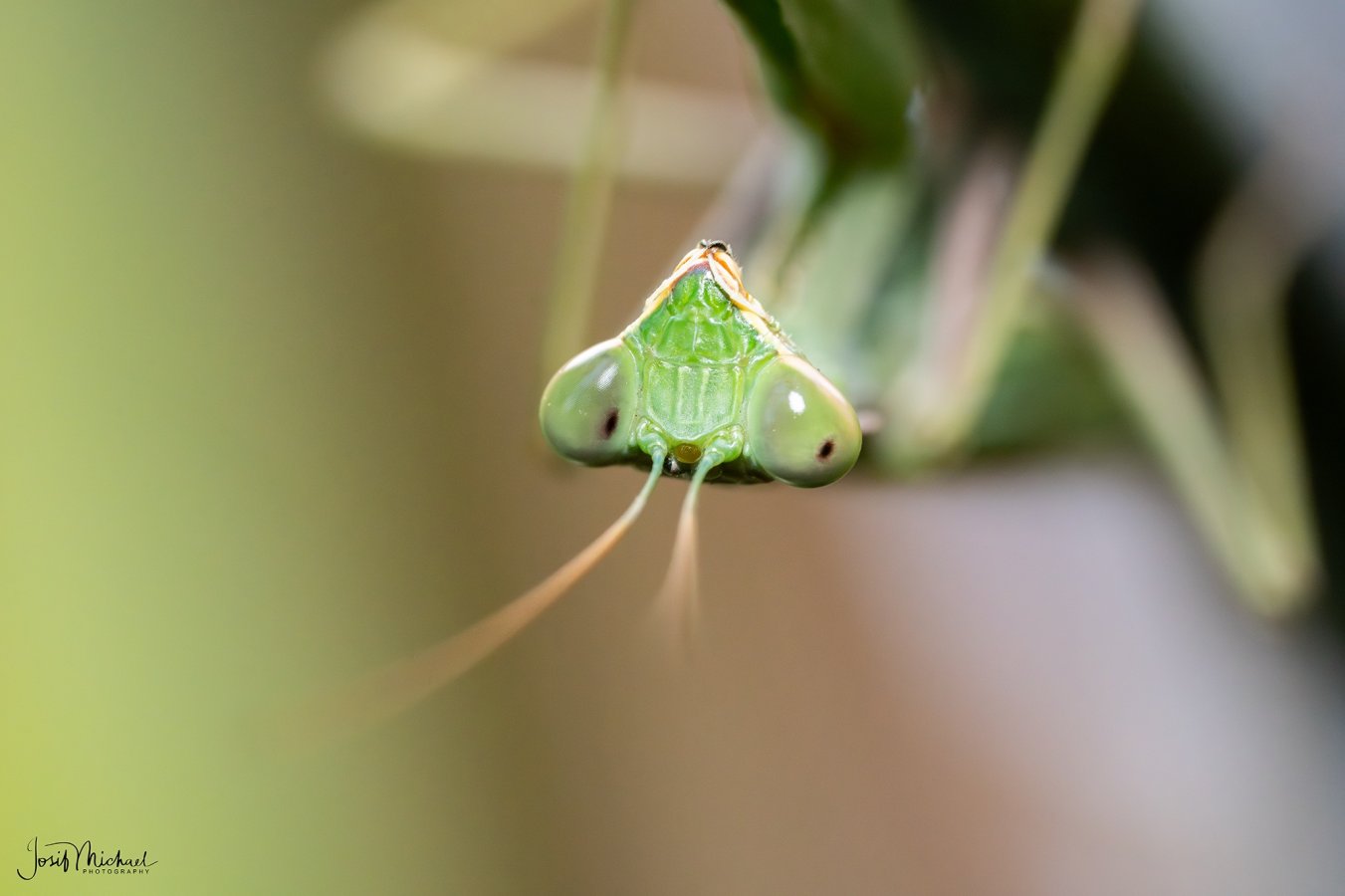 ARV04373-Edit web.jpg