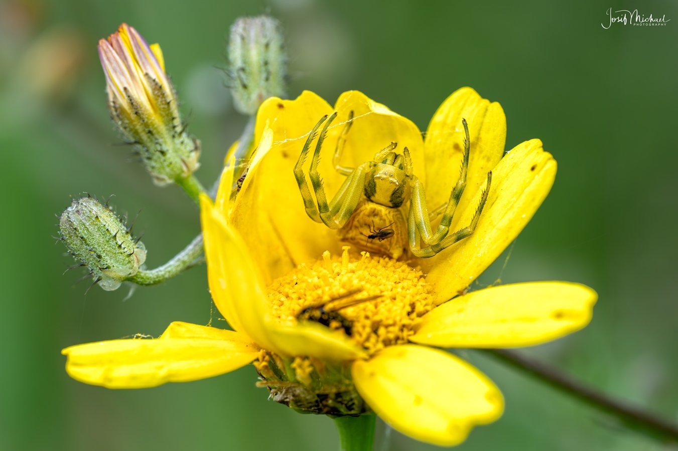 ARV04668-Edit web.jpg