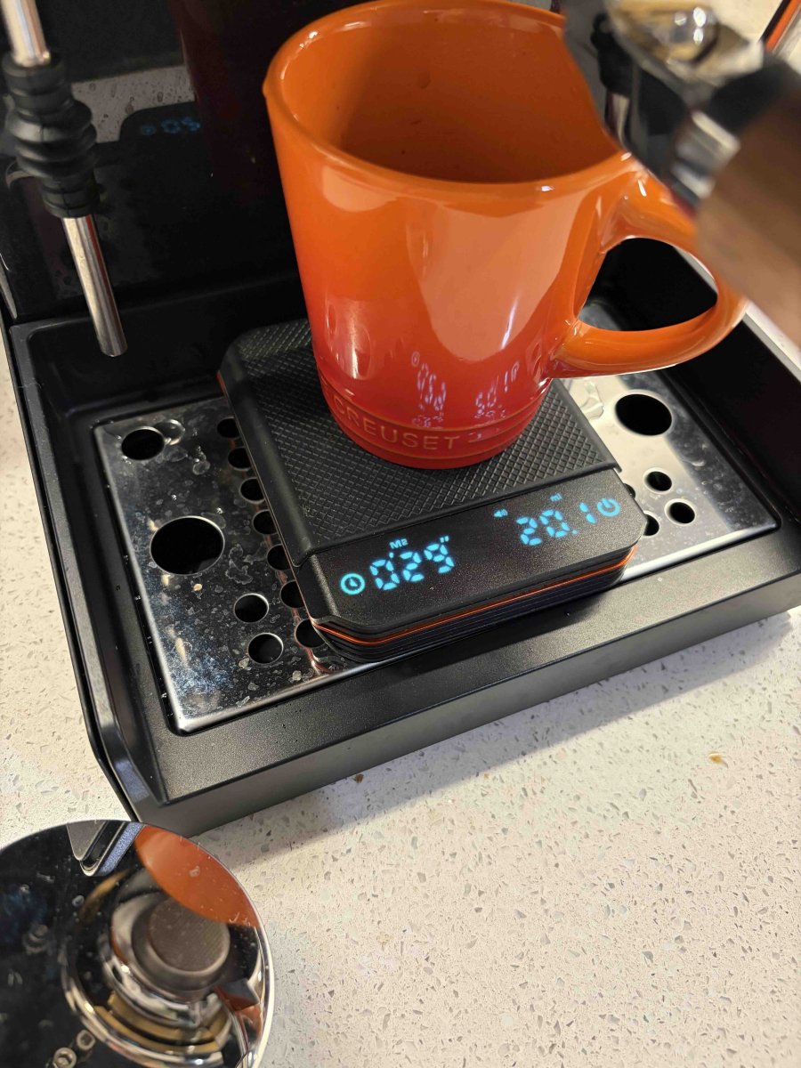 IMG_0604.jpg IMG_0604.jpg