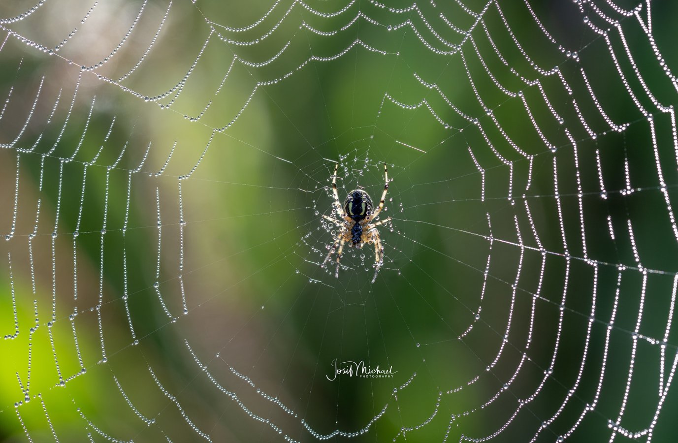 2026-04-05 15-40-57 (B,R8,S4) web.jpg