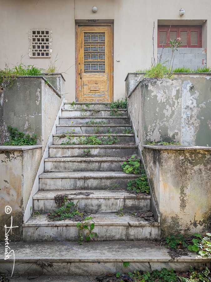 IMG_20260304_124534_PS copy_WM.jpg