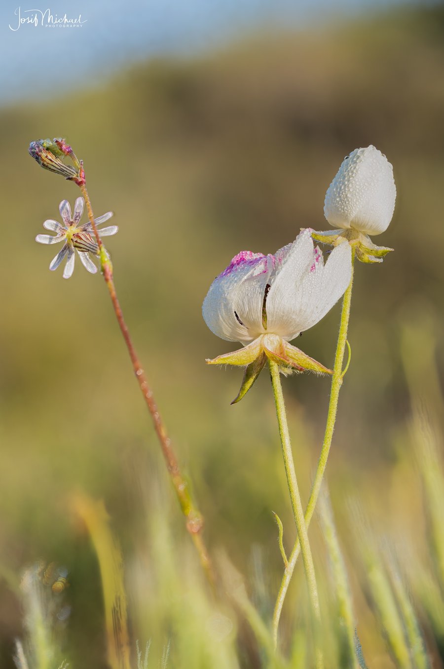 2026-04-08 16-06-44 (B,R8,S4) web.jpg