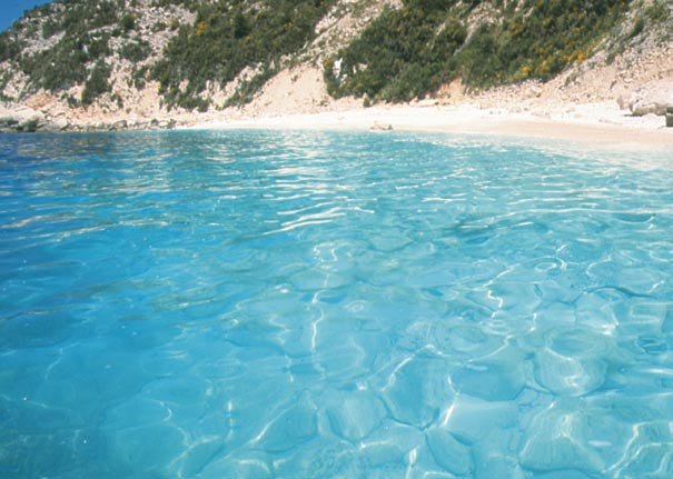 paxoi0008_004.jpg