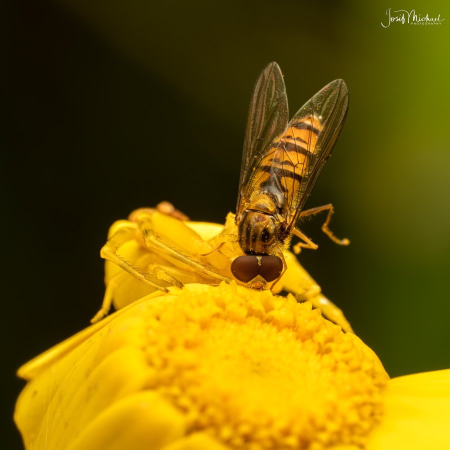 ARV01929-Edit web.jpg