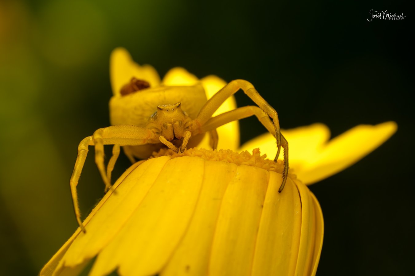 ARV01942-Edit web.jpg