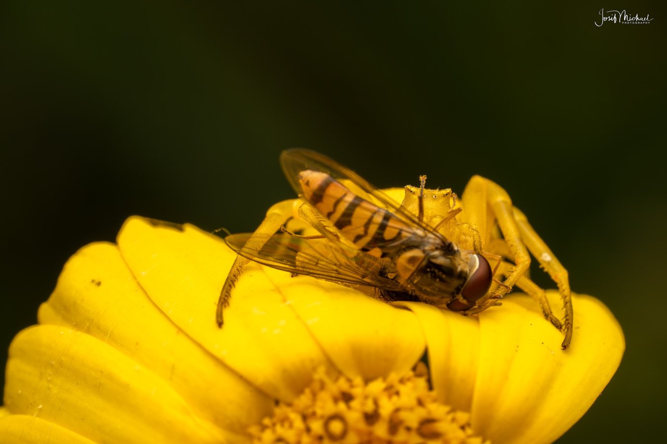 ARV01954-Edit web.jpg