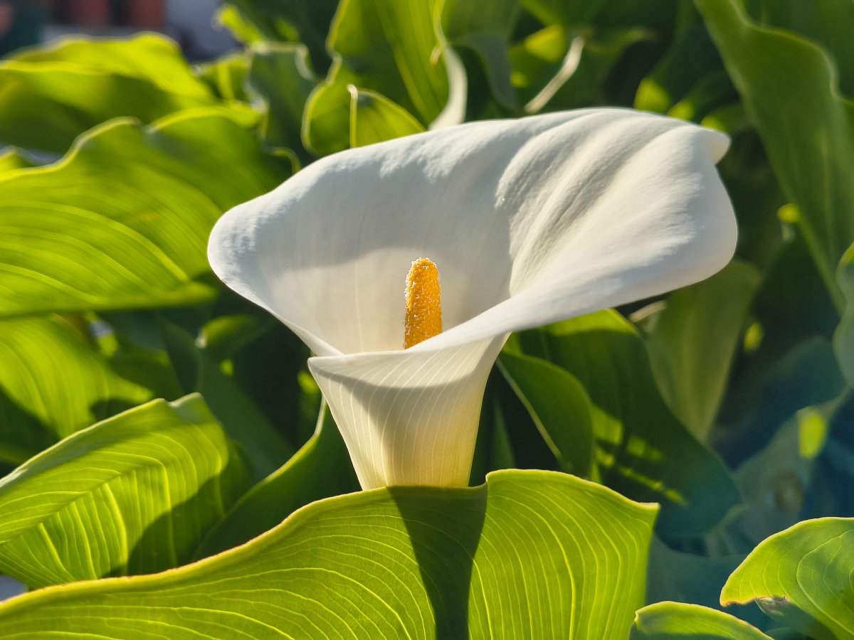 IMG_20260413_175932802_HDR.jpg IMG_20260413_175932802_HDR.jpg