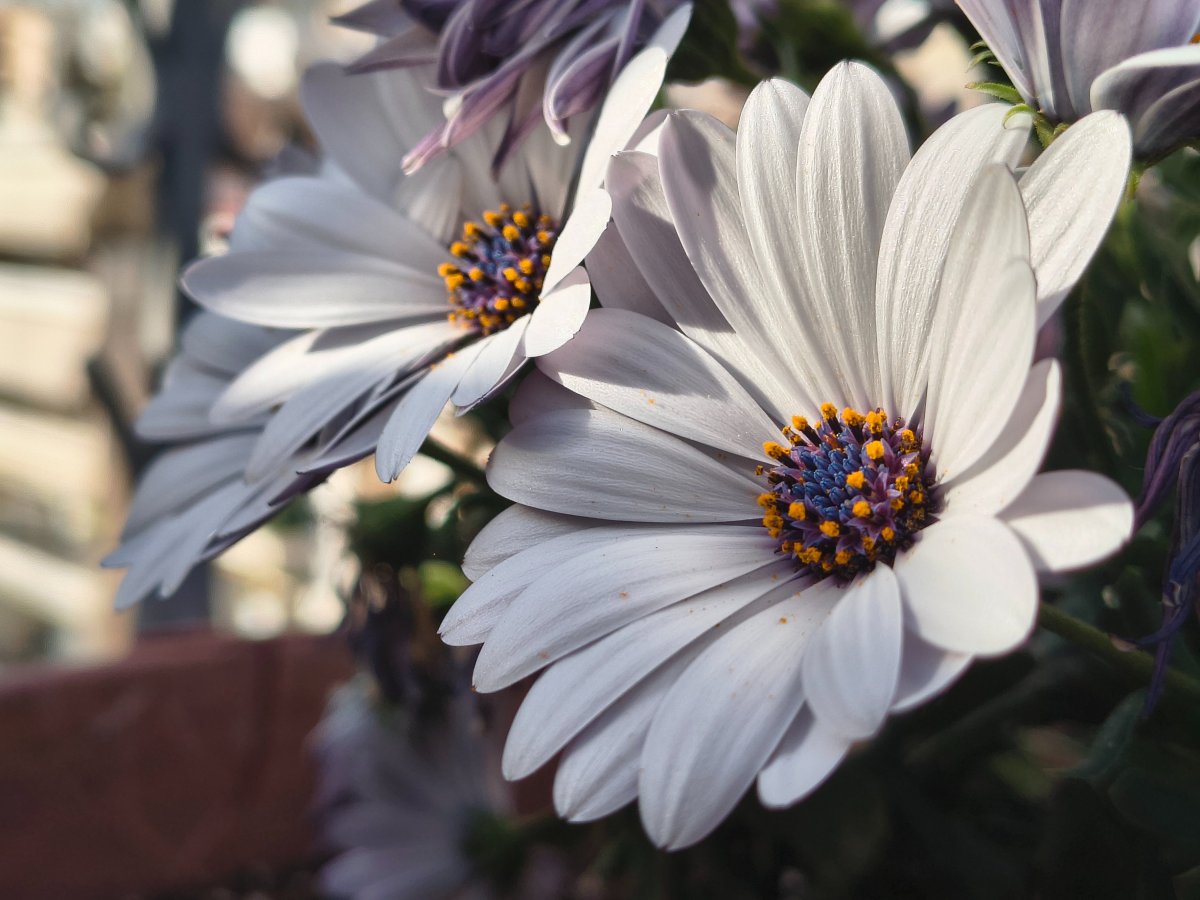 IMG_20260413_175125769_HDR~2.jpg IMG_20260413_175125769_HDR~2.jpg