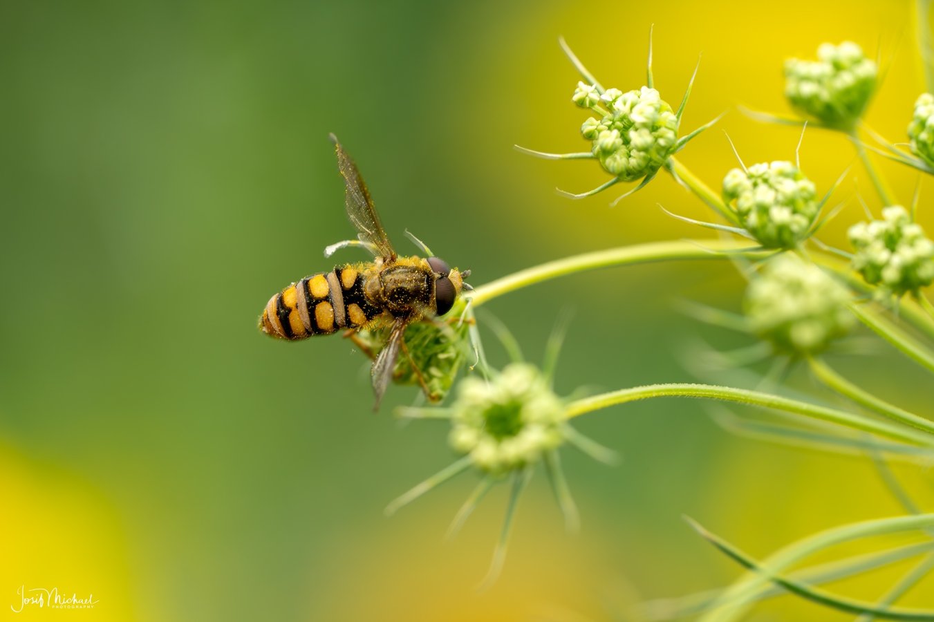 ARV01569-Edit web.jpg