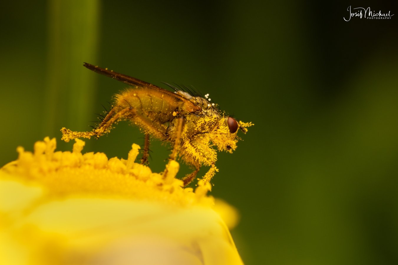 ARV01911-Edit web.jpg