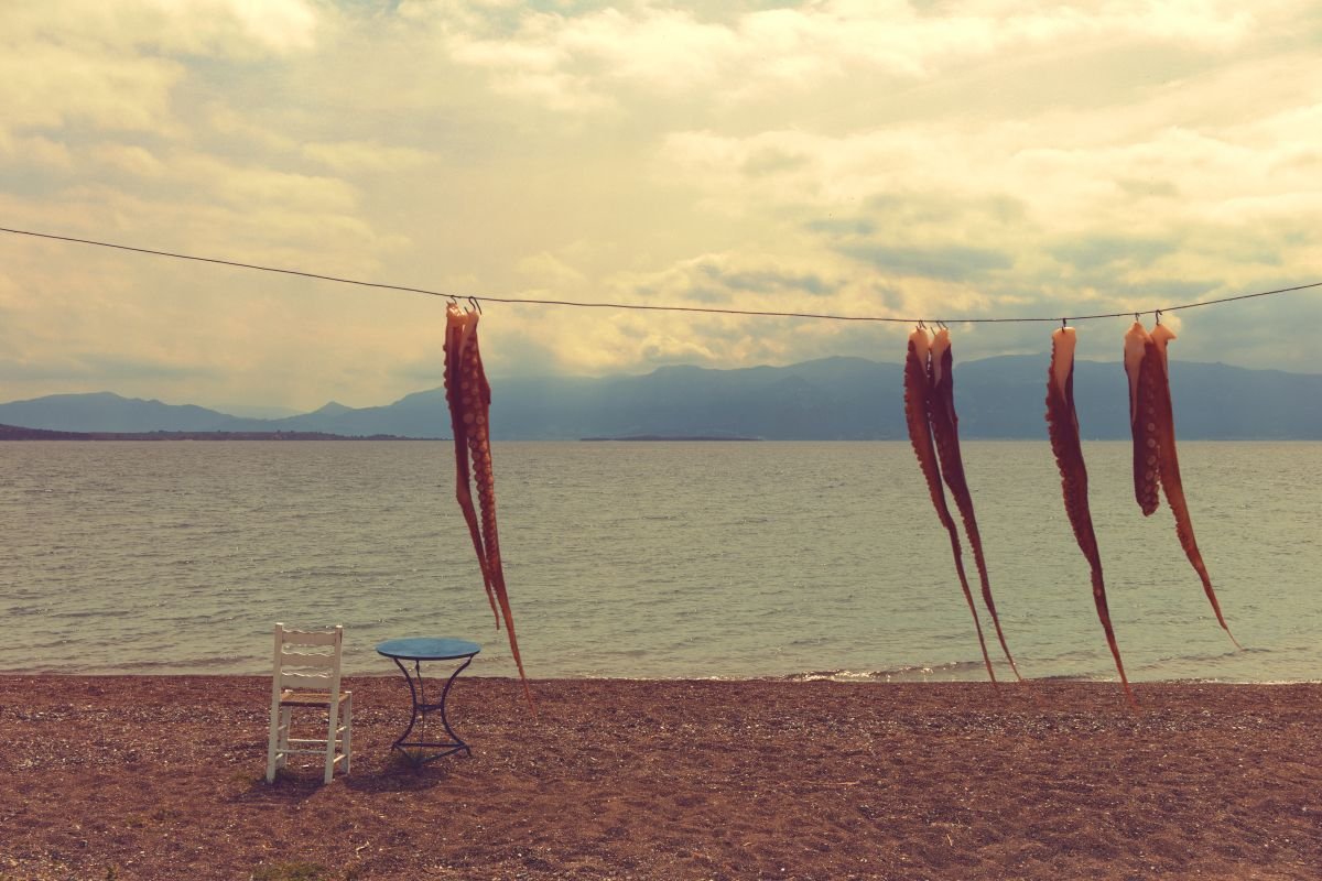 IMG_9387_edit2_resize1200.jpg IMG_9387_edit2_resize1200.jpg