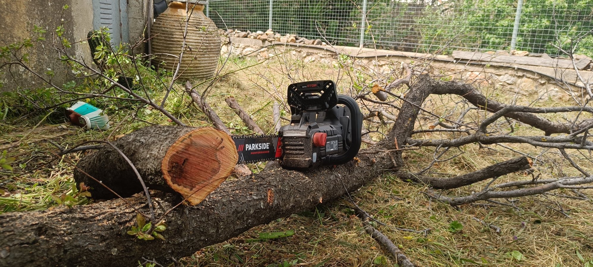 IMG20260415125045.jpg IMG20260415125045.jpg