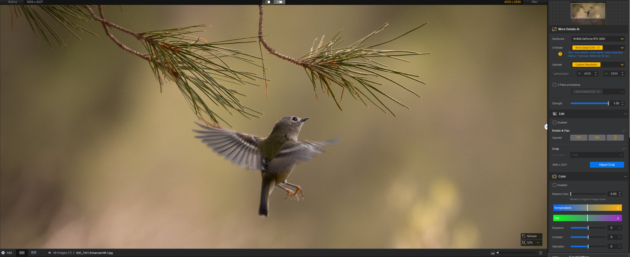 no aiarty 100% zoom.png