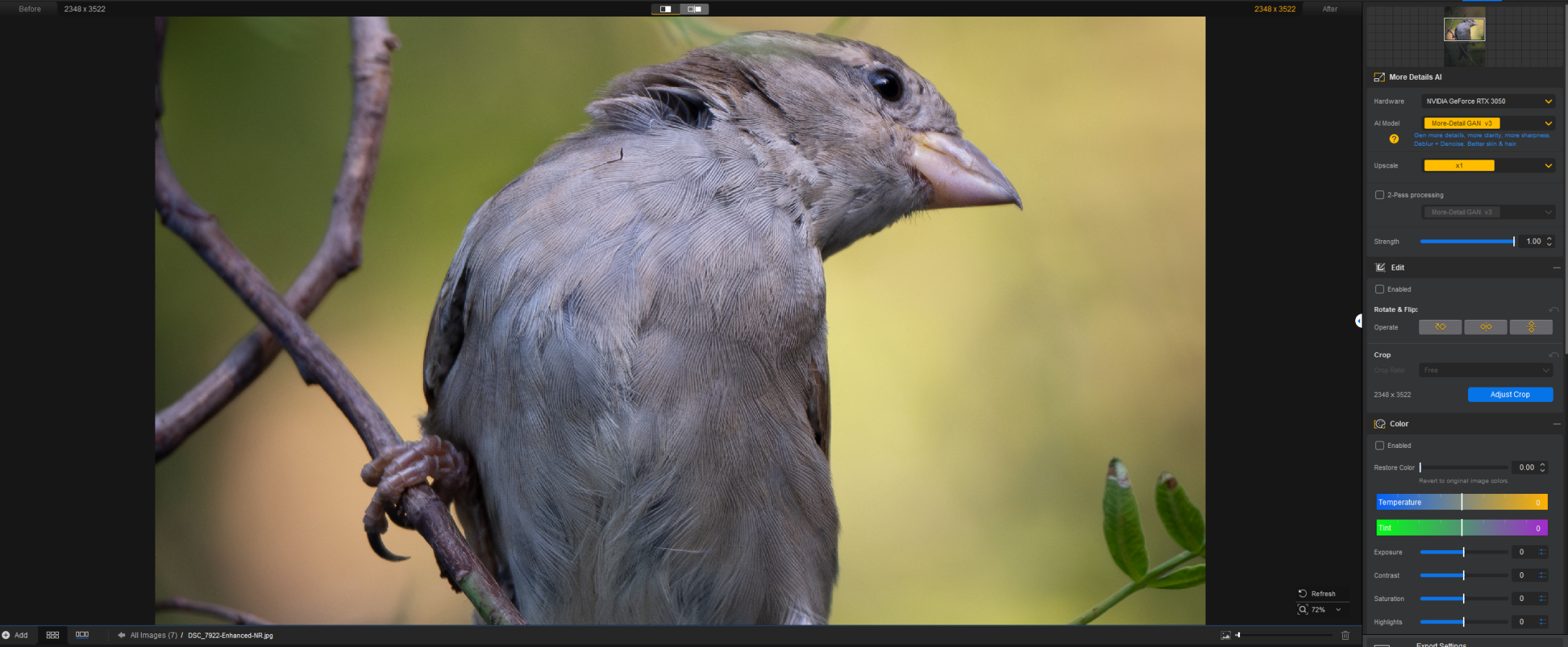 -No aiarty 100% zoom, no upscale.png