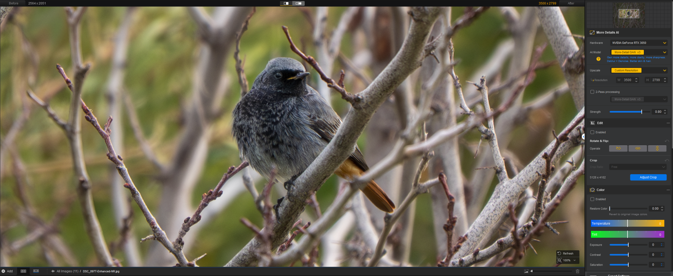 --No aiarty 100% zoom..png