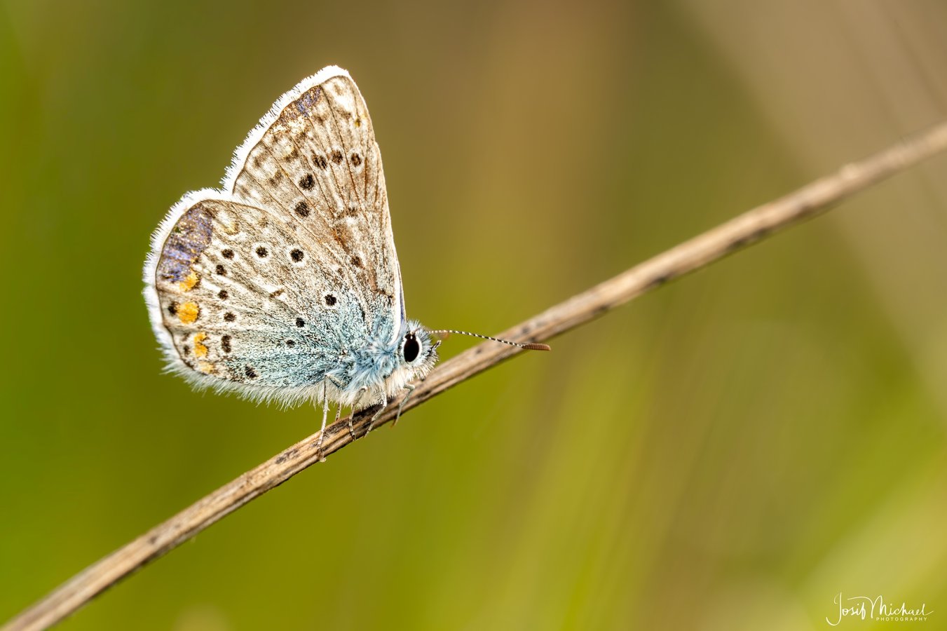 ARV02166-Edit web.jpg