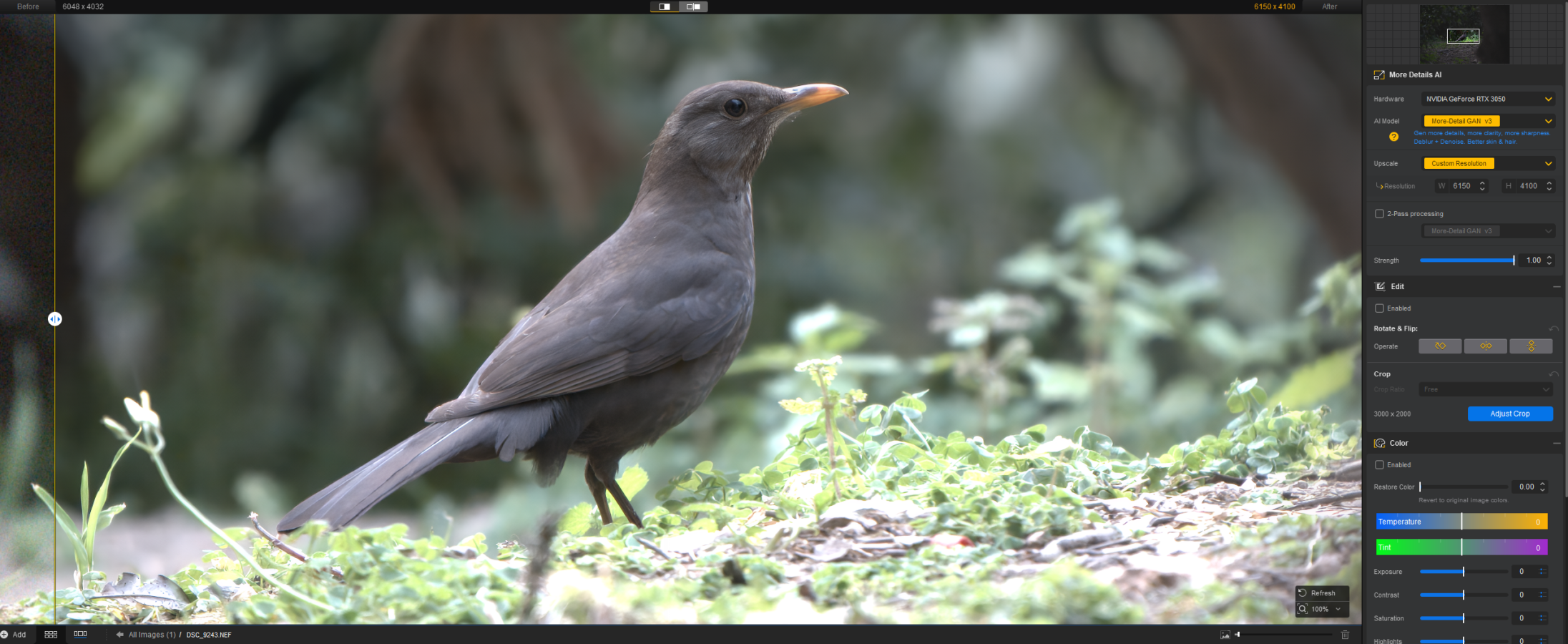 AIARTY AFTER 12.1.png