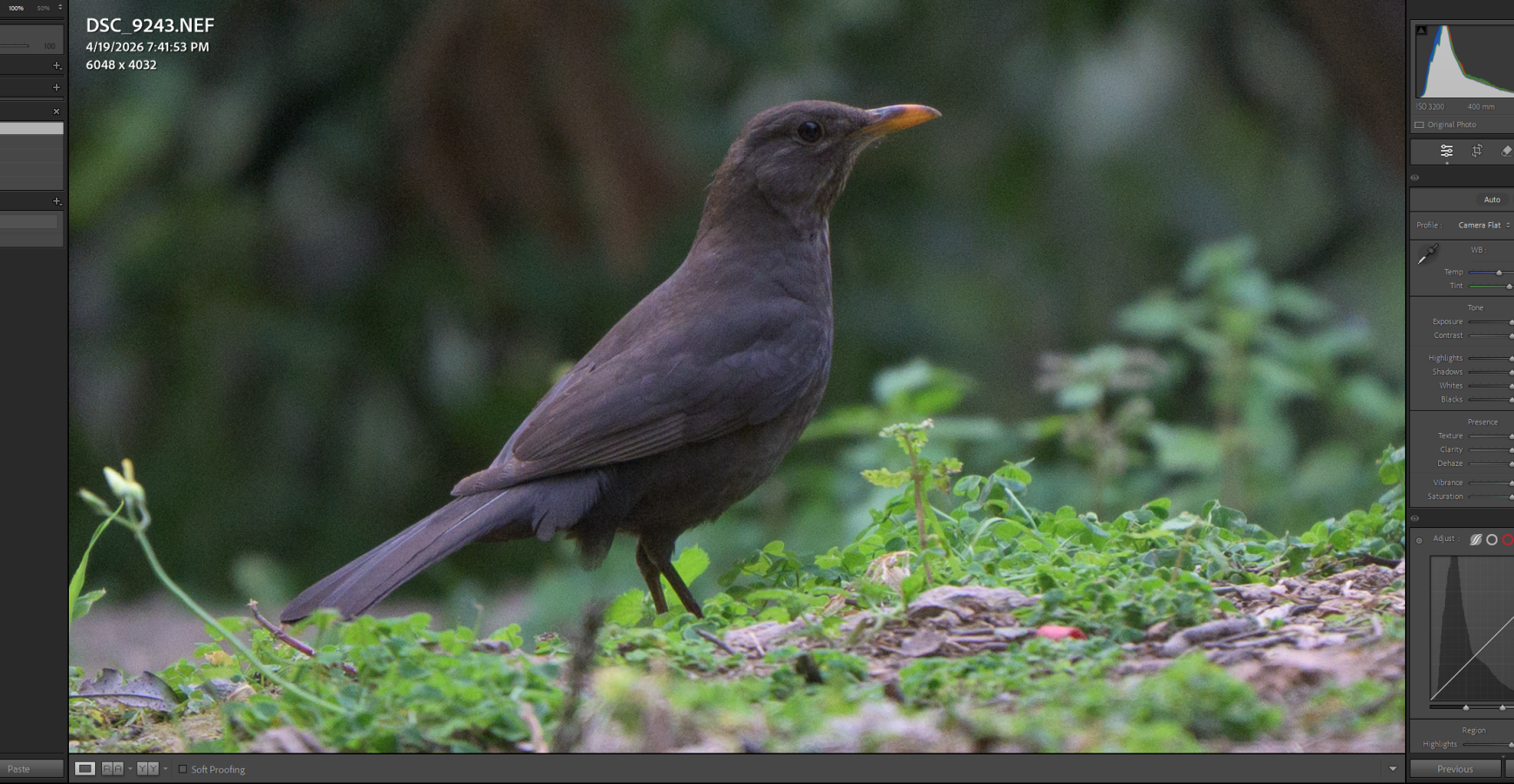 LR CAMERA FLAT 12.png