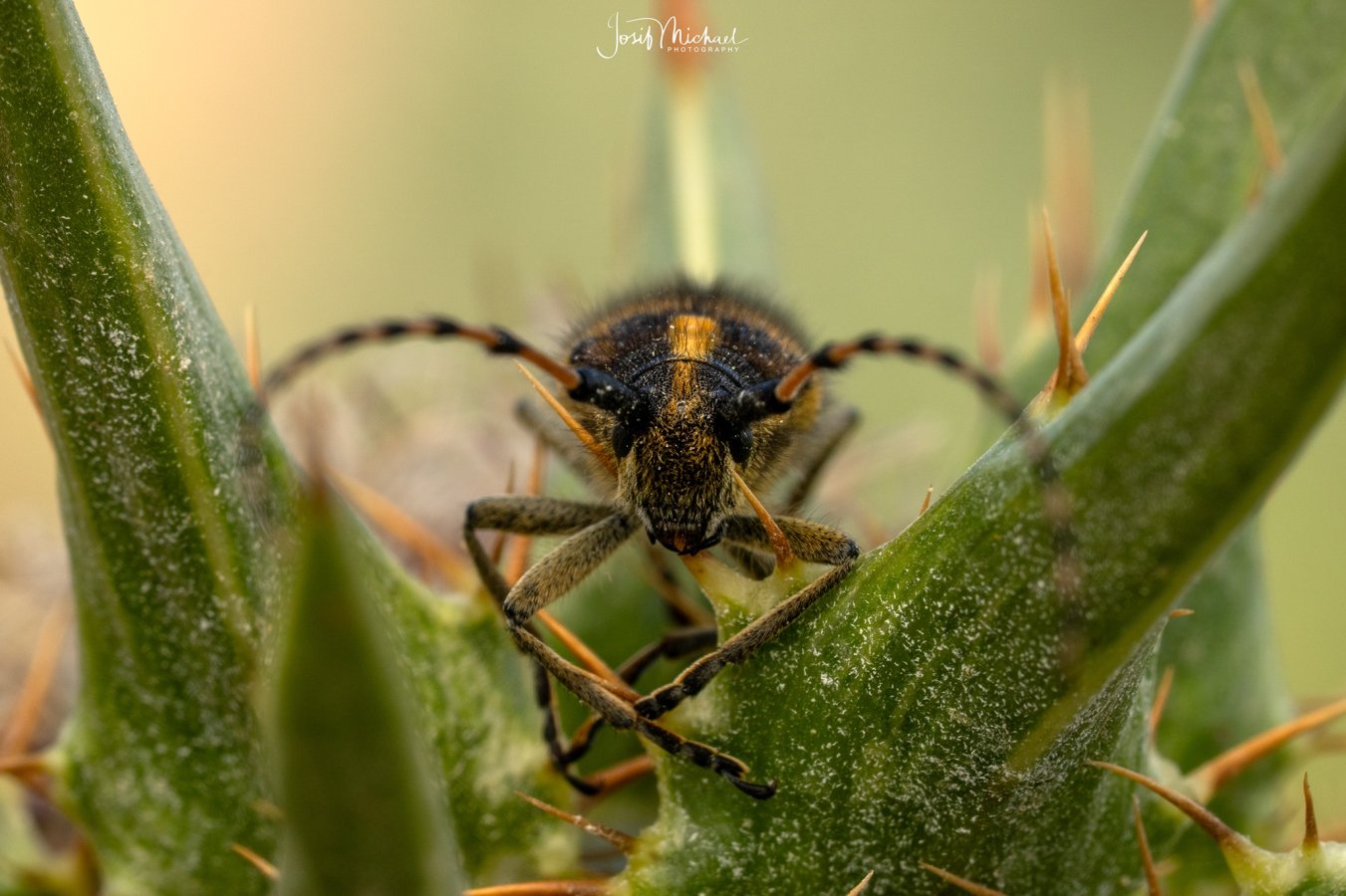 ARV01661-Edit web.jpg