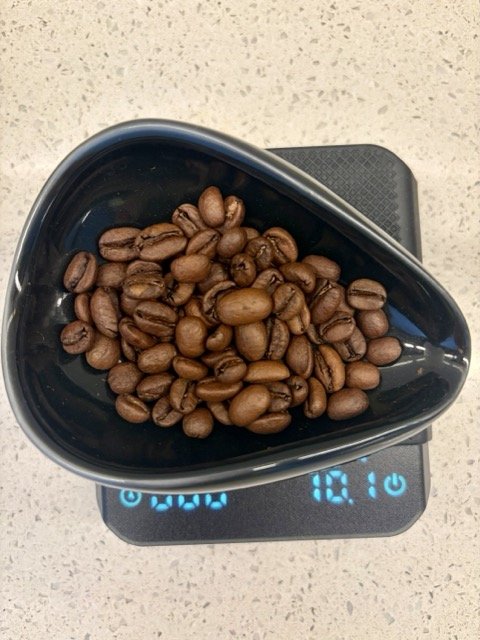 IMG_0686 Medium.jpeg