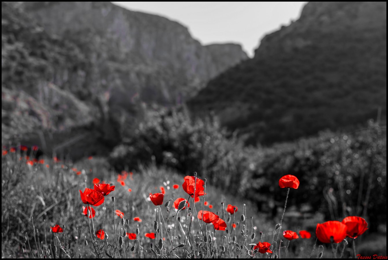_DSC6059b.jpg